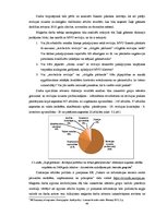 Diplomdarbs 'Finanšu pārskatu pārbaudes ieviešana maziem un vidējiem uzņēmumiem Latvijā', 44.