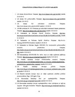 Diplomdarbs 'Finanšu pārskatu pārbaudes ieviešana maziem un vidējiem uzņēmumiem Latvijā', 85.