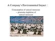 Prezentācija 'A Company's Environmental Impact', 6.
