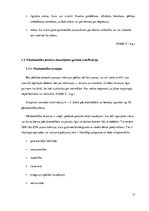 Diplomdarbs 'Sievietes ar psihiskiem traucējumiem veselības aprūpe pēcdzemdību periodā', 17.