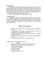 Konspekts 'Lieldienu atrakcijas', 5.