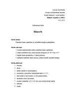 Paraugs 'Bimorfs', 1.