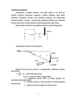 Paraugs 'Bimorfs', 2.