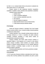 Referāts 'Korupcijas novēršanas un apkarošanas biroja funkcijas, pienākumi, mūsdienīgums', 2.