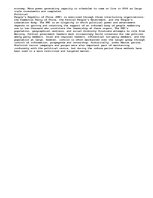 Eseja 'Term Paper on China', 2.