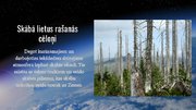 Prezentācija 'Globālās vides pārmaiņas - ozona slānis un skābais lietus', 7.