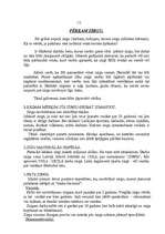 Referāts 'Zirgi', 15.