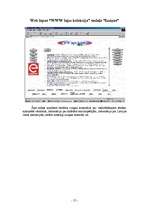 Referāts 'Web lapa "WWW lapu kolekcija"', 19.