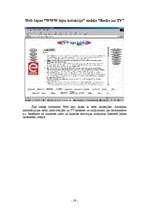 Referāts 'Web lapa "WWW lapu kolekcija"', 21.