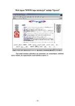 Referāts 'Web lapa "WWW lapu kolekcija"', 22.