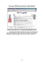 Referāts 'Web lapa "WWW lapu kolekcija"', 23.