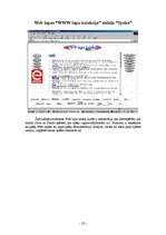 Referāts 'Web lapa "WWW lapu kolekcija"', 24.