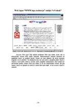 Referāts 'Web lapa "WWW lapu kolekcija"', 28.