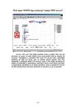 Referāts 'Web lapa "WWW lapu kolekcija"', 29.