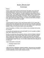 Konspekts 'Brāļu Kaudzīšu romāna "Mērnieku laiki" tēlu raksturojums', 1.