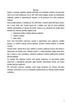 Prakses atskaite 'Prakses pārskats A/S "SEB banka"', 3.