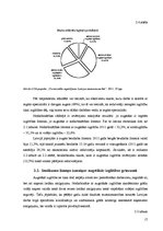 Referāts 'Latvijas augstākās izglītības sistēmas un darba tirgus mijedarība', 17.