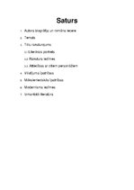 Referāts 'Albēra Kamī romāna "Svešinieks" analīze', 2.