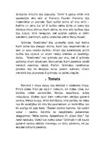 Referāts 'Albēra Kamī romāna "Svešinieks" analīze', 4.