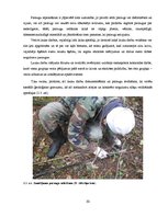 Diplomdarbs 'Nogulumu īpašību izmaiņas Lielā Svētiņu ezera attīstības laikā (laika posmā no h', 20.