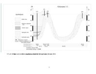 Diplomdarbs 'Nogulumu īpašību izmaiņas Lielā Svētiņu ezera attīstības laikā (laika posmā no h', 35.
