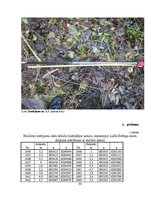 Diplomdarbs 'Nogulumu īpašību izmaiņas Lielā Svētiņu ezera attīstības laikā (laika posmā no h', 50.