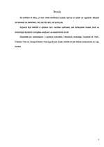 Referāts 'Fizikas vēsture', 3.