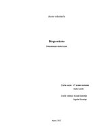 Referāts 'Diega svārsts', 1.