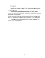 Referāts 'Diega svārsts', 20.