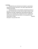 Referāts 'Diega svārsts', 22.