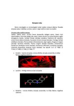 Konspekts 'Dekoratīvā acu kosmētika', 8.