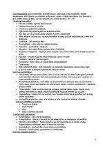 Konspekts 'Padziļinātā intervija', 3.