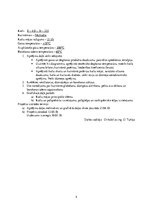 Konspekts 'Katlu mājas projekta uzdevums', 4.