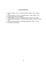 Konspekts 'Katlu mājas projekta uzdevums', 23.