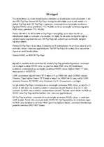 Referāts 'RS triggeri', 1.