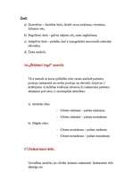 Konspekts 'Saskarsmes kultūra', 8.