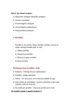 Konspekts 'Saskarsmes kultūra', 10.