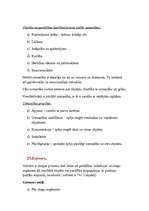 Konspekts 'Saskarsmes kultūra', 14.