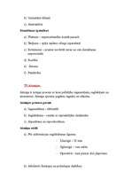 Konspekts 'Saskarsmes kultūra', 16.