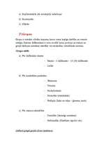 Konspekts 'Saskarsmes kultūra', 18.