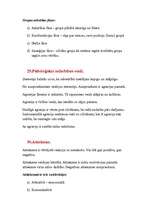 Konspekts 'Saskarsmes kultūra', 20.