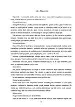 Diplomdarbs 'SIA "Spilva"', 11.