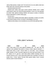 Diplomdarbs 'SIA "Spilva"', 12.