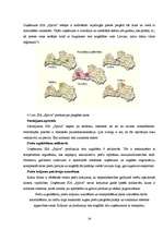 Diplomdarbs 'SIA "Spilva"', 18.