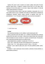 Diplomdarbs 'SIA "Spilva"', 21.