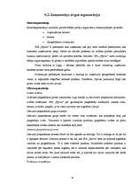 Diplomdarbs 'SIA "Spilva"', 29.