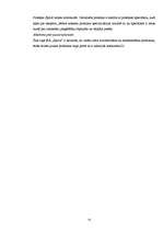 Diplomdarbs 'SIA "Spilva"', 30.