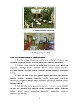 Referāts 'Telpaugu nozīme viesmīlības atmosfēras radīšanā', 5.