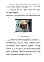 Referāts 'Telpaugu nozīme viesmīlības atmosfēras radīšanā', 6.