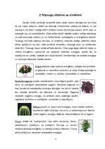 Referāts 'Telpaugu nozīme viesmīlības atmosfēras radīšanā', 8.